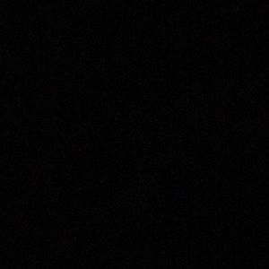 Meet your Posher, Pendalton